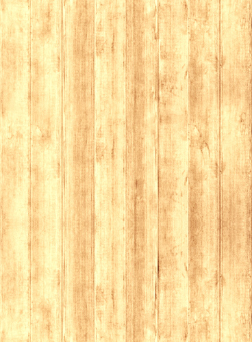 网站攻击工具手机版